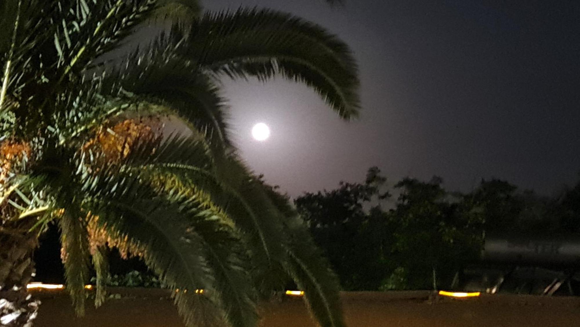 The Palms Novasithonia Διαμέρισμα Βουρβουρού Εξωτερικό φωτογραφία